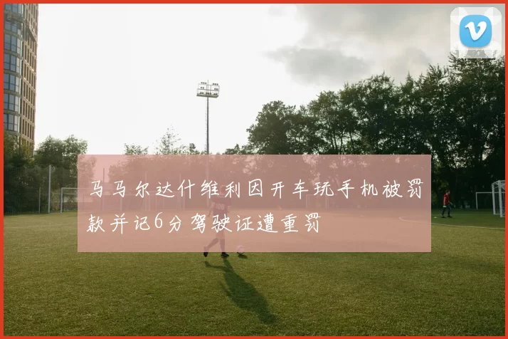 马马尔达什维利因开车玩手机被罚款并记6分驾驶证遭重罚