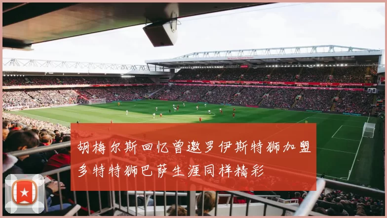 胡梅尔斯回忆曾邀罗伊斯特狮加盟多特特狮巴萨生涯同样精彩